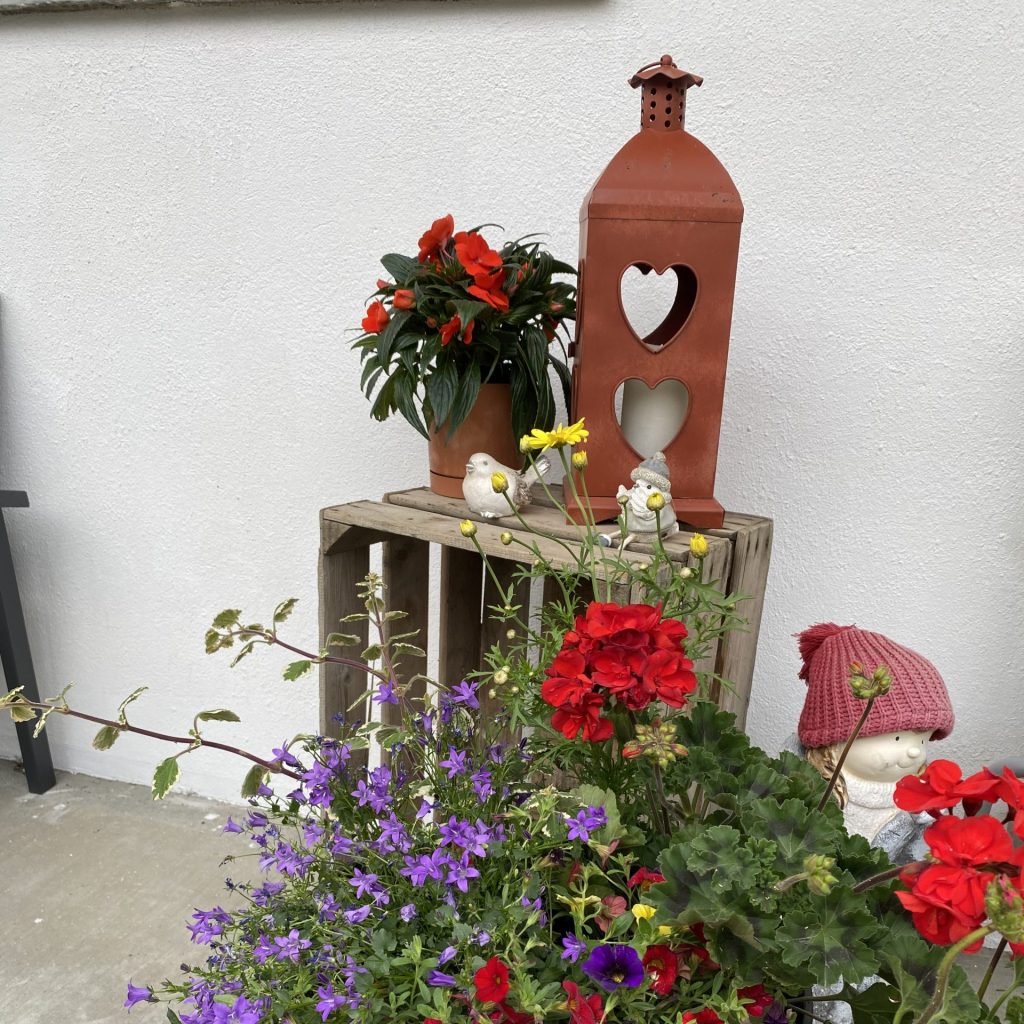 décoration et fleurs